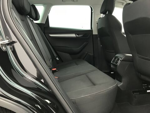 Karoq 2.0 TDI 116 ch SCR DSG7 2024 occasion 25000 Besan&ccedil;on
