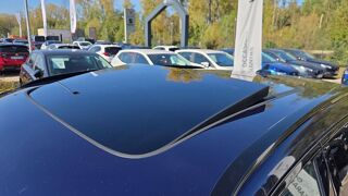 Terramar 1.5 eHybrid 204 ch DSG6 2025 occasion 38300 Bourgoin-Jallieu