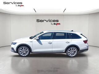 Octavia Combi 2.0 TDI 200 ch DSG7 4x4 2023 occasion 01440 Viriat
