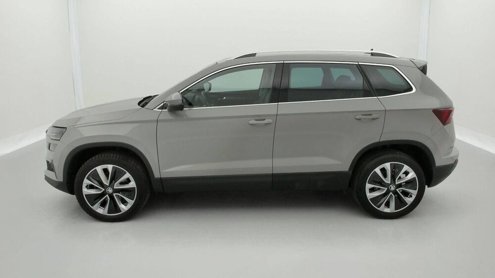 Karoq 2.0 TDI 116 ch SCR DSG7 2023 occasion 25000 Besan&ccedil;on