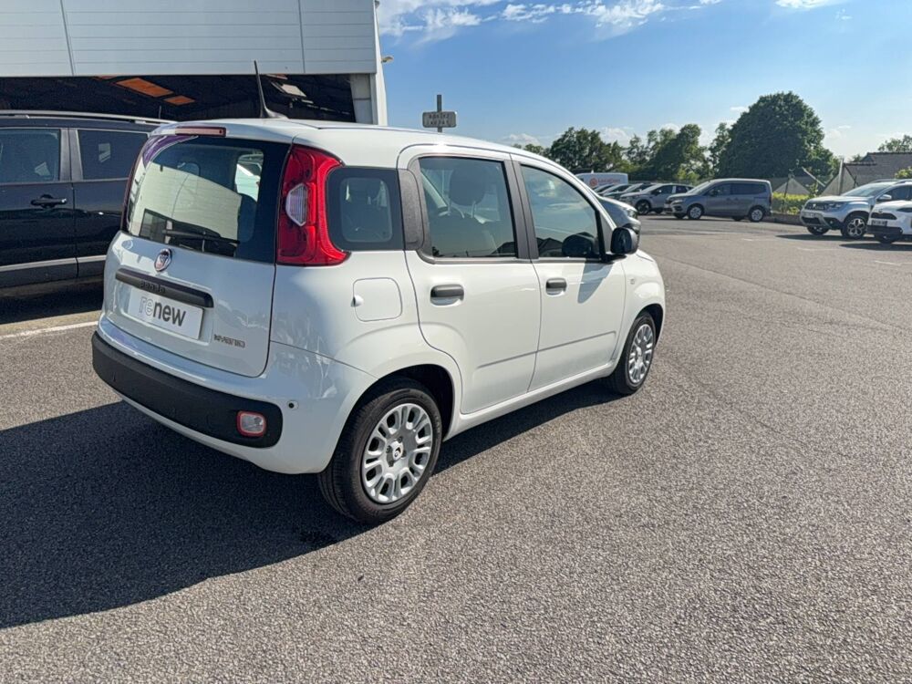 Panda 1.0 70 ch Hybrid BSG S/S 2025 occasion 29270 Carhaix-Plouguer