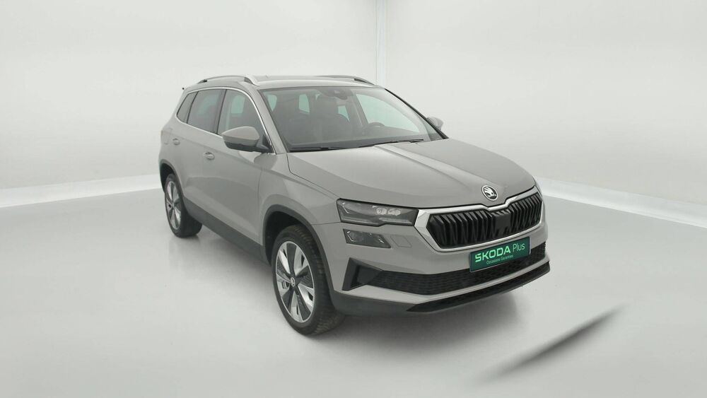 Karoq 2.0 TDI 116 ch SCR DSG7 2023 occasion 25000 Besan&ccedil;on