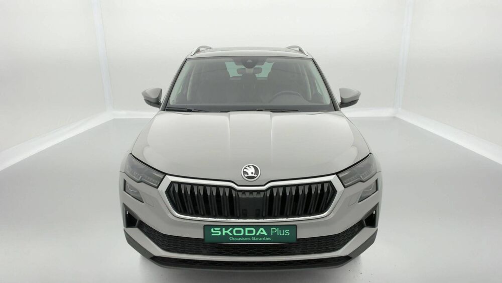 Karoq 2.0 TDI 116 ch SCR DSG7 2023 occasion 25000 Besan&ccedil;on