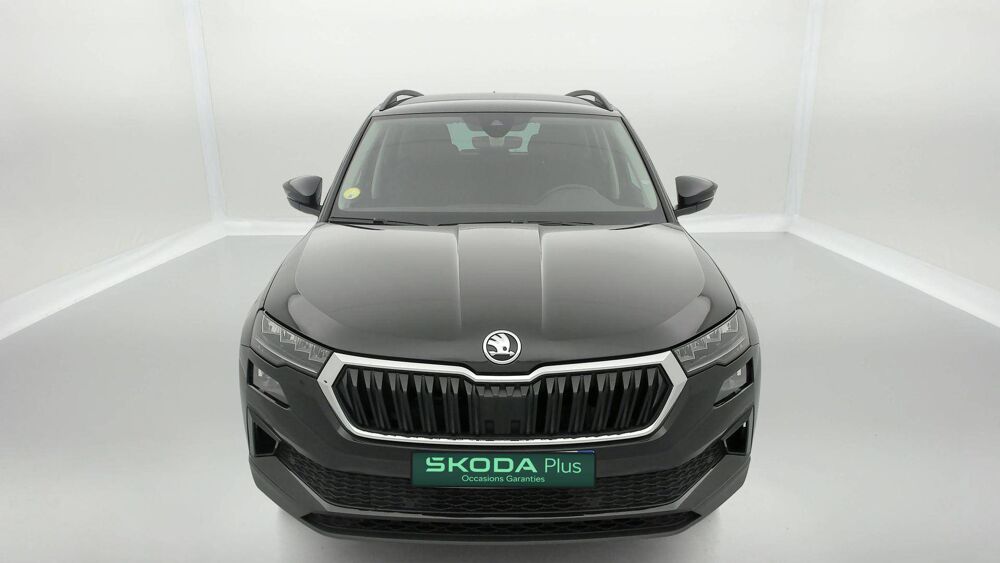 Karoq 2.0 TDI 116 ch SCR DSG7 2024 occasion 25000 Besan&ccedil;on