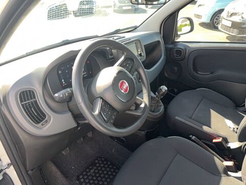 Panda 1.0 70 ch Hybrid BSG S/S 2025 occasion 29270 Carhaix-Plouguer