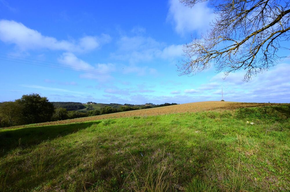 Prix en baisse! A vendre, proche Auch, Gers: ancien corps de ferme à rénover avec maison authentique en pierre et de nombreuses