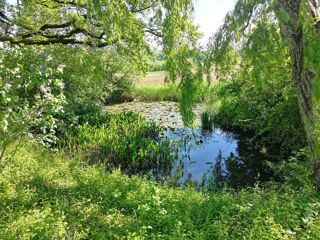  Maison � vendre 10 pi�ces 394 m�