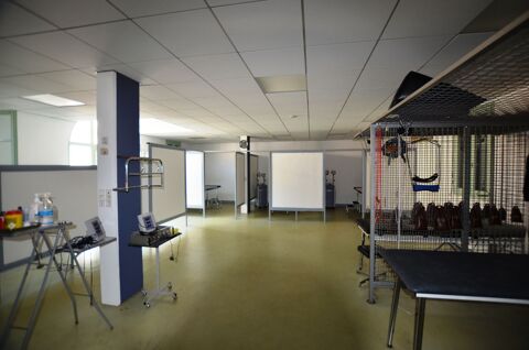   A vendre en exclusivité sur Auch (32): local commercial ou professionnel de 160m² avec place de stationnement privée 