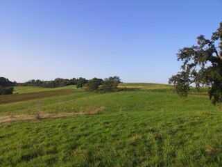  Maison � vendre 6 pi�ces 235 m�