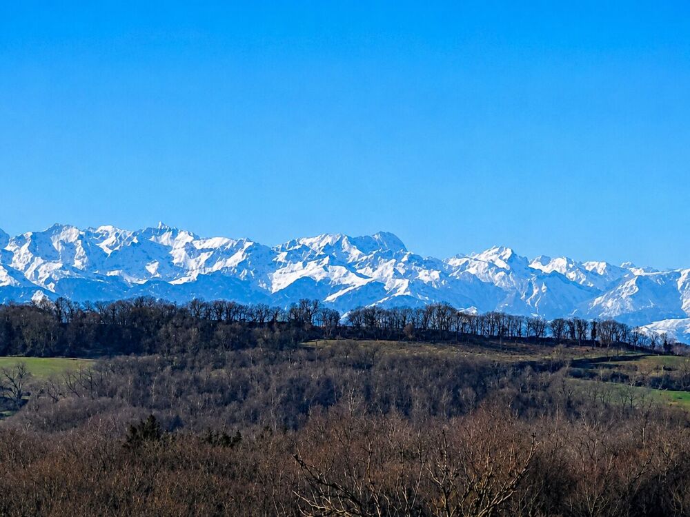 Rare ! À vendre près de Marciac : maison (ancienne ferme) de 2,7 ha, avec 2 gîtes et des dépendances, vue sur les Pyrénées. DPE
