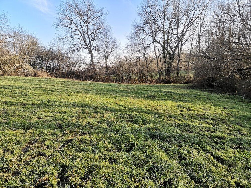 Vente Maison Propriété à vendre proche de Marciac: Maison 4 chambres, à finir de rénover. Cachée et isolée, on y accède par un long chemin. T Marciac