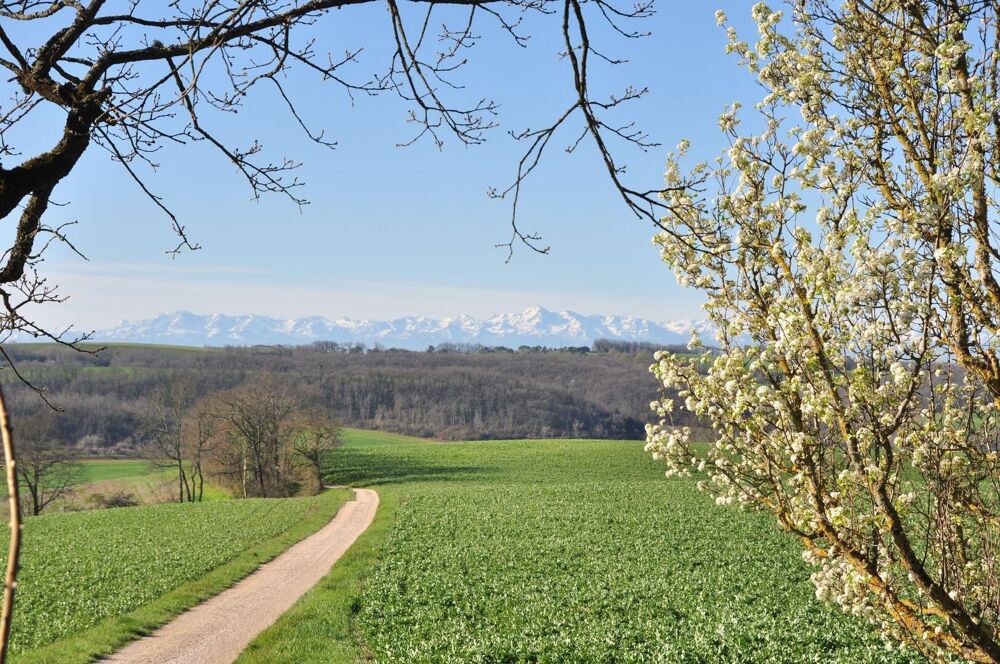 Vente Maison A vendre secteur d'Auch: Sur une crête, maison gasconne avec environ 1ha de jardin bien entretenu, y compris un étang, a des vue Barran