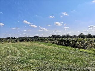  Propri�t�/ch�teau � vendre 15 + pi�ces 470 m�