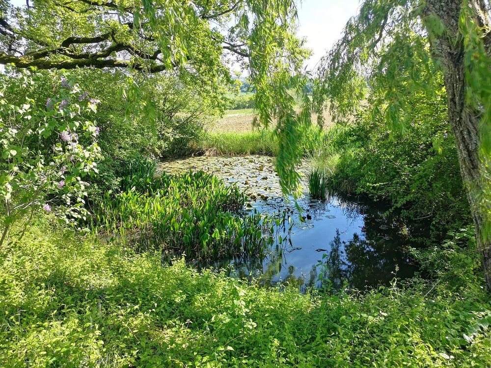 Vente Maison A vendre secteur d'Auch: Sur une crête, maison gasconne avec environ 1ha de jardin bien entretenu, y compris un étang, a des vue Barran