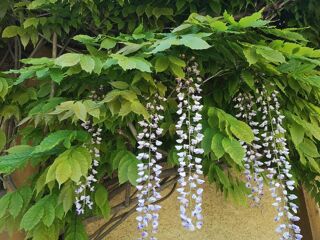  Maison � vendre 10 pi�ces 394 m�