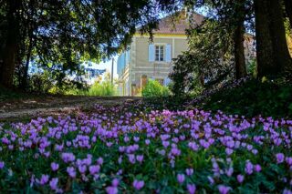  Maison � vendre 9 pi�ces 293 m�