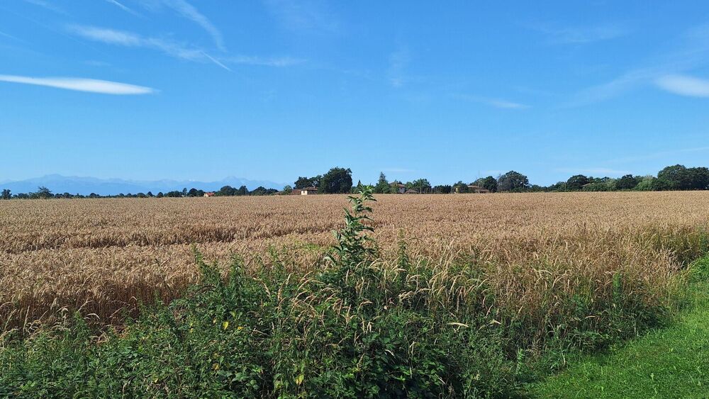 Vente Maison A vendre  dans le Gers, proche de Castelnau Magnoc: Maison individuelle avec vue sur les Pyrénées, dans la jolie campagne gersoi St ost