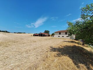  Maison à vendre 320 m²