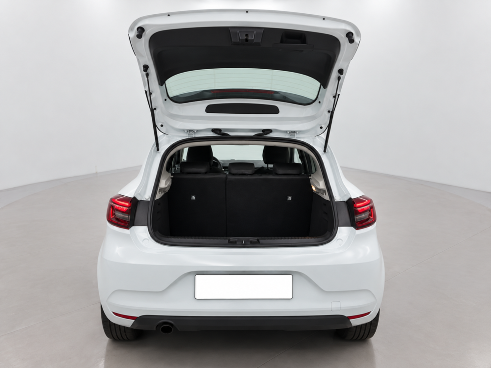 Clio V 1.0 TCe 100 Zen 2020 occasion 38150 Chanas