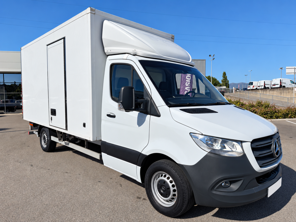 Autres 316 HAYON 2021 occasion 69780 Mions