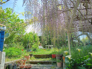  Villa � louer 4 pi�ces 95 m�