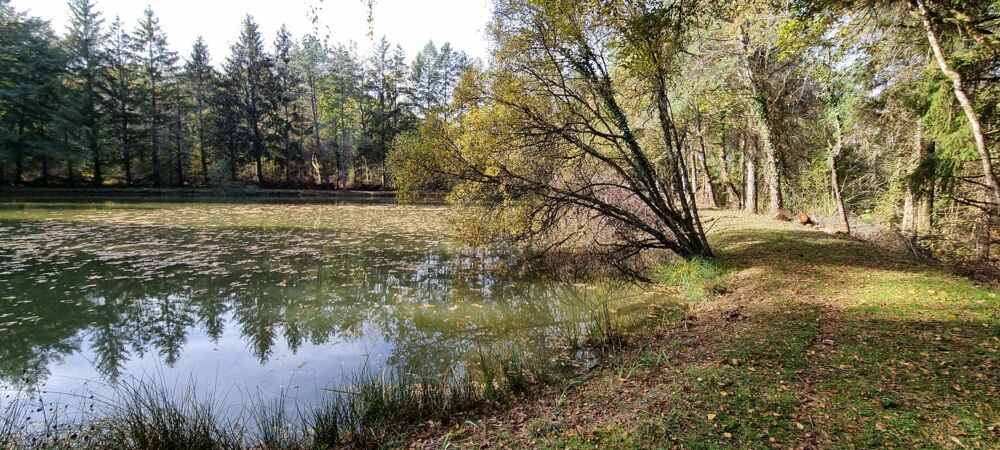 Vente Terrain Etang de 3000m² Piegut-pluviers