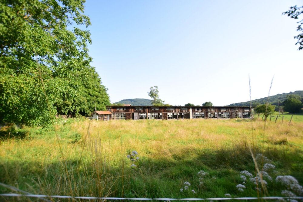 Vente Terrain Terrain constructible de 3 600m² SECTEUR
