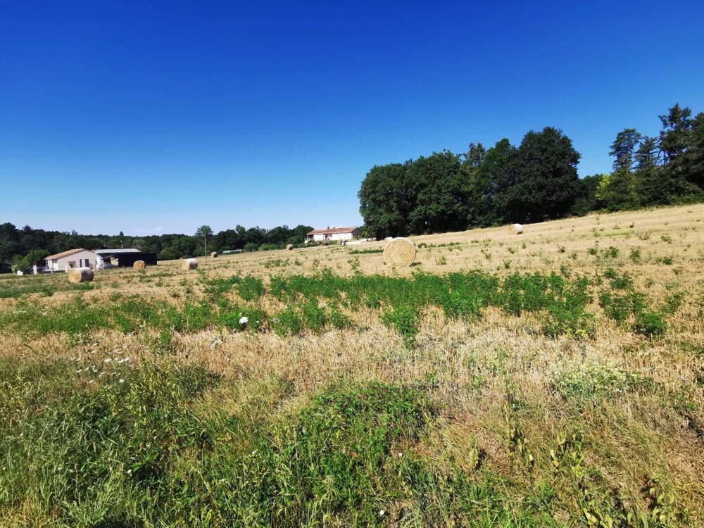 Vente Terrain Terrain en zone constructible Varaignes