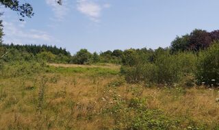  Terrain à vendre 
