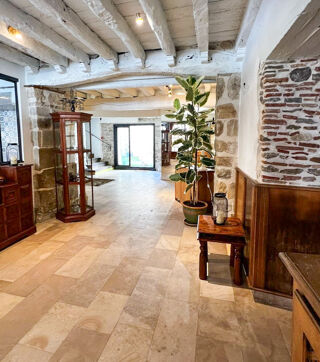  Maison � vendre 11 pi�ces 394 m�