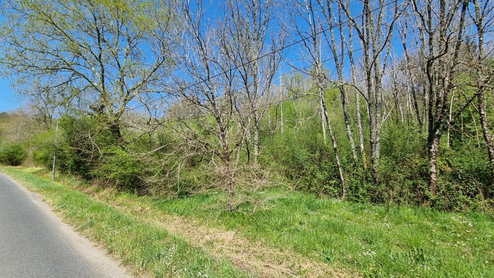 Vente Terrain Parcelles de bois Saint-martial-de-valette