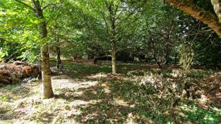  Maison à vendre 6 pièces 140 m²