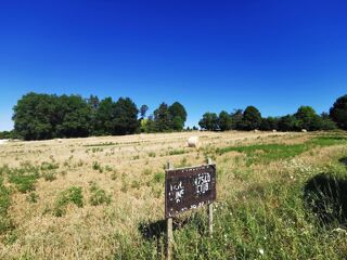  Terrain  vendre 