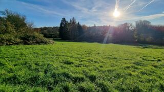  Terrain à vendre 