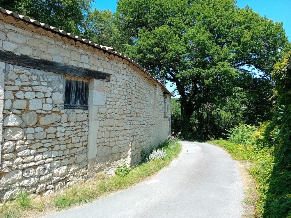 Vente Maison Région MONTCUQ, Ensemble immobolier Montcuq