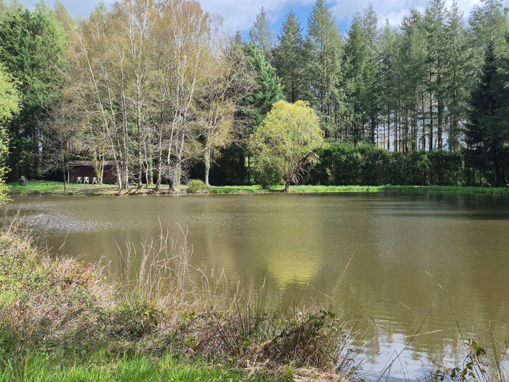 Vente Terrain ETANG + ABRI DE PECHE Champs-romain