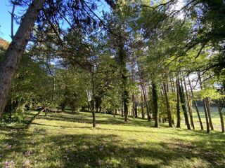  Maison � vendre 195 m�