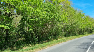  Terrain  vendre 