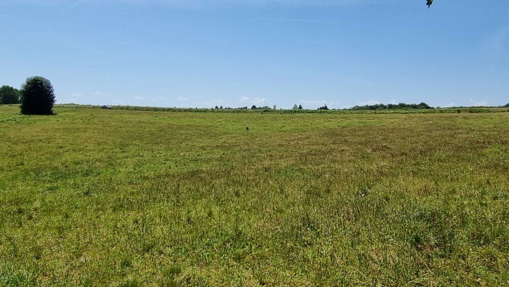 Vente Terrain Parcelles de pré et bois avec point d'eau Abjat-sur-bandiat