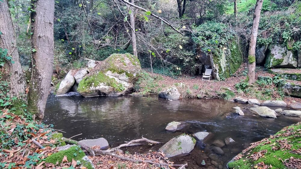  vendre  Maison Brousses-et-Villaret (11390)