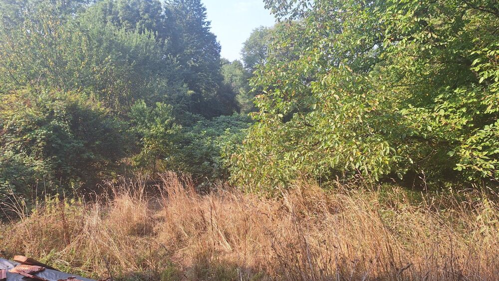 Vente Autre Atelier Piegut-pluviers