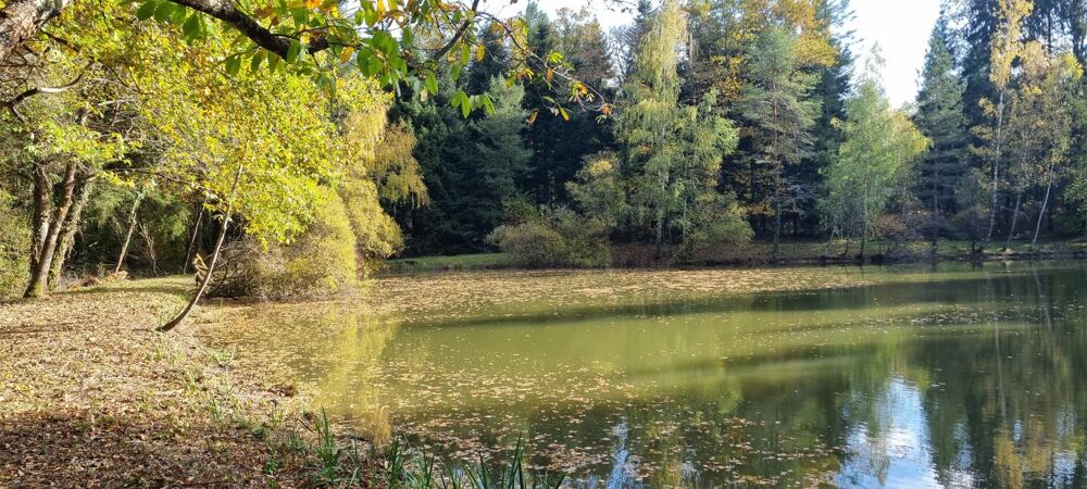 Vente Terrain Etang de 3000m² Piegut-pluviers