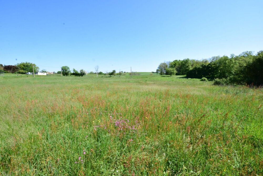 Vente Terrain TERRAIN DE 2.446 M² BIEN EXPOSE SECTEUR 