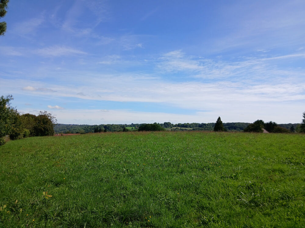 Vente Maison Spacieuse maison de 4 chambres avec plus de 1 hectare de terrain � vendre en Dordogne, proche de la ville. La coquille