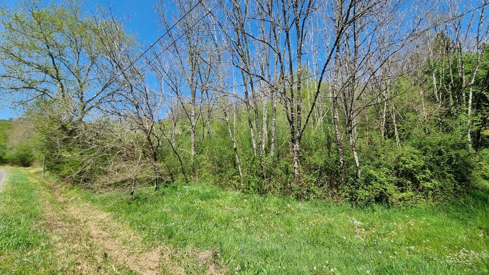 Vente Terrain Parcelles de bois Saint-martial-de-valette
