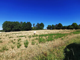  Terrain  vendre 