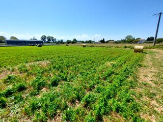  Terrain  vendre 