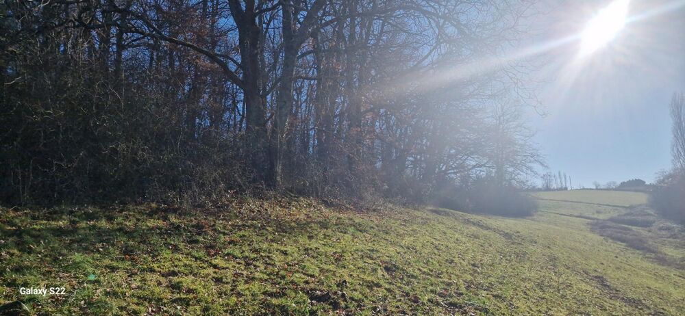 Propriété rurale de 3,9 hectares avec fermette à renover entièrement- CANTON AURIGNAC