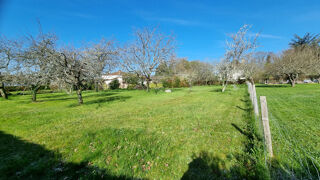  Terrain  vendre 