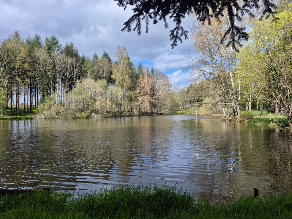 Vente Terrain ETANG + ABRI DE PECHE Champs-romain